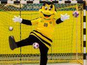 Verlängerung im Bienenkorb